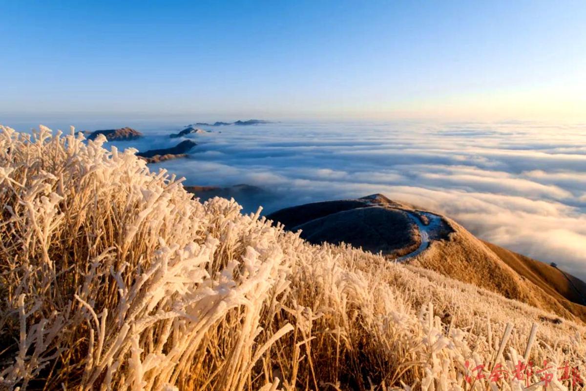 萍鄉(xiāng)武功山：霧凇云海，銀裝素裹